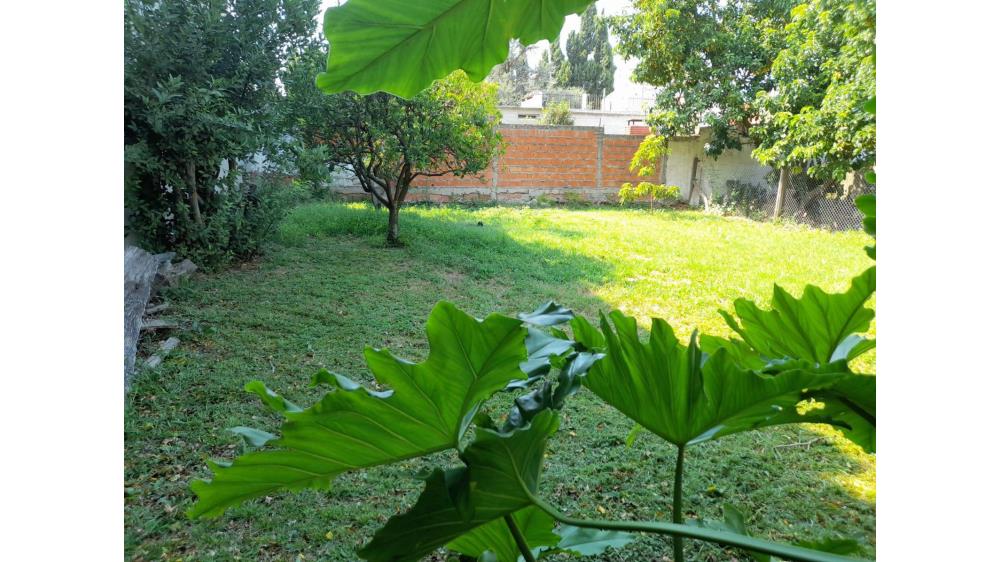 Casa familiar con piscina y jardin - Img: 14